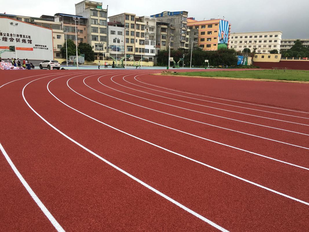 揭阳市学校塑胶跑道塑胶跑道材料 - 厂家